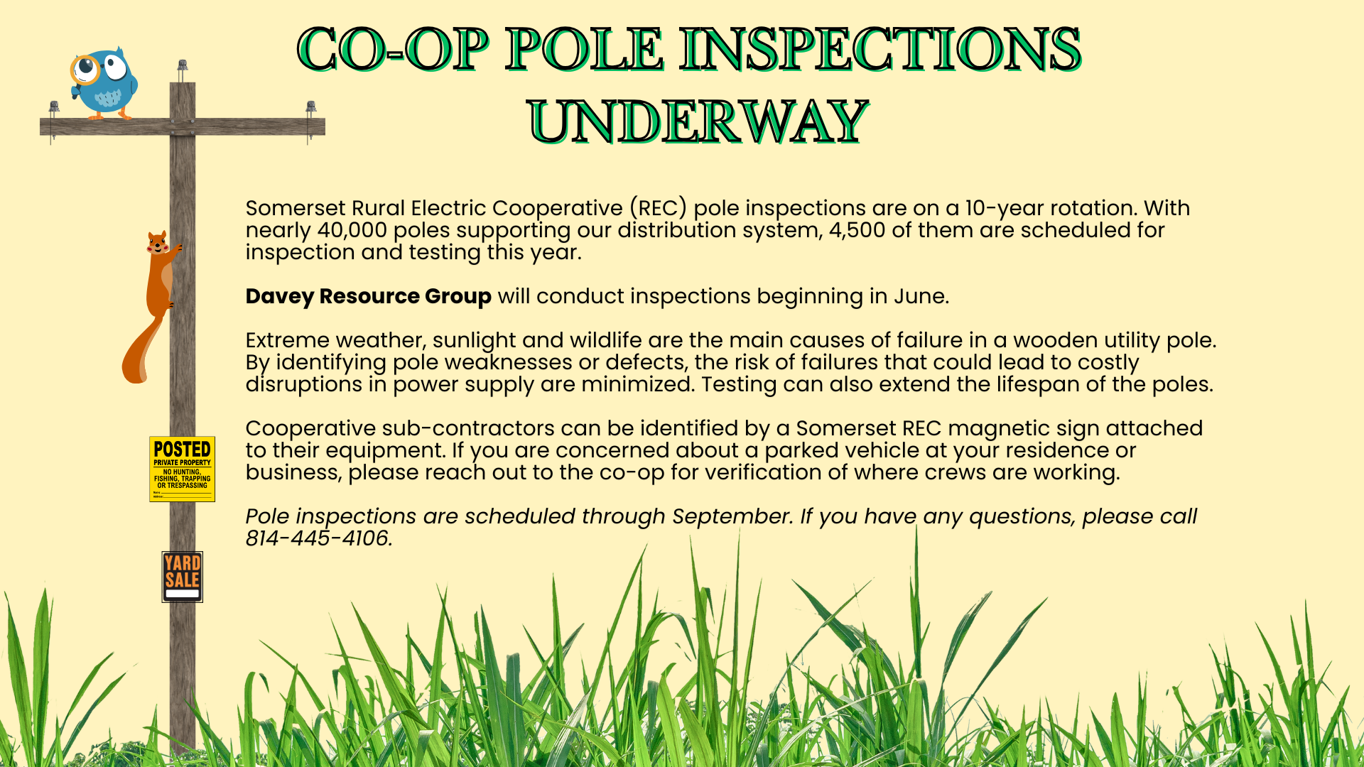 co-op pole inspections